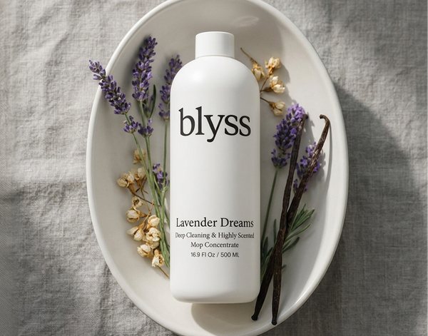 Lavender Dreams