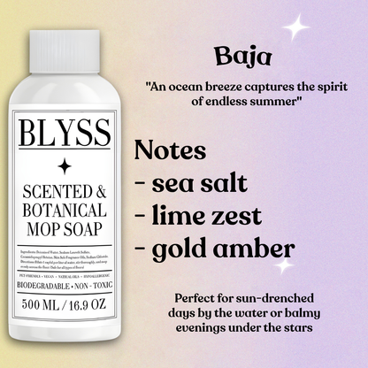 Blyss Natural Scented Mop Soap